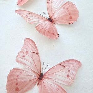 Meet your Posher, Ariana